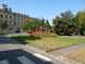  vue sur le jardin de l'hôpital Sainte-Anne